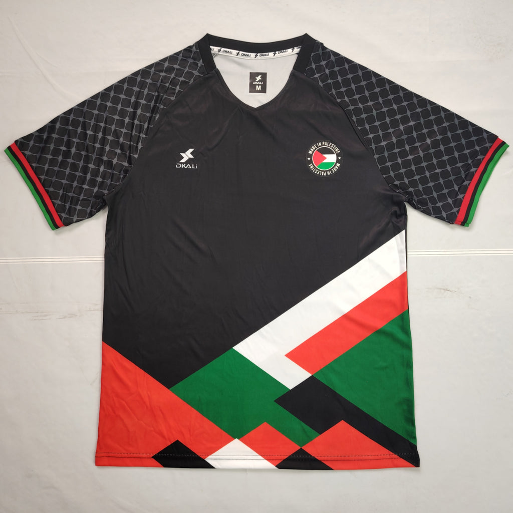 24-25 Palestine Spécial (Fan Version)