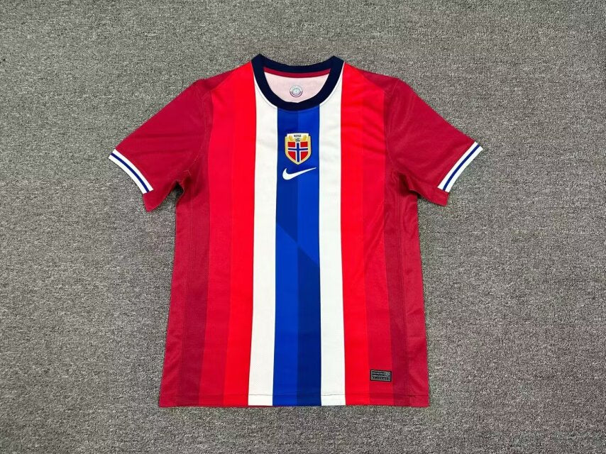 23-24 Norvège Domicile (Fan Version)