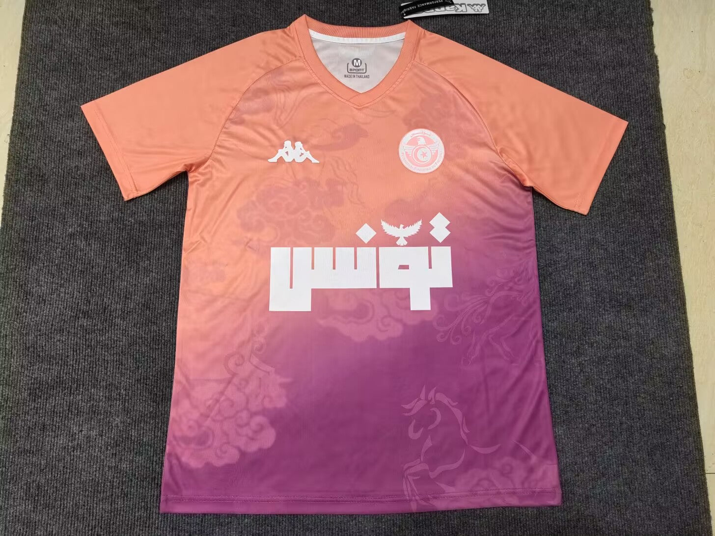 24-25 Tunisie Concept (Fan Version)