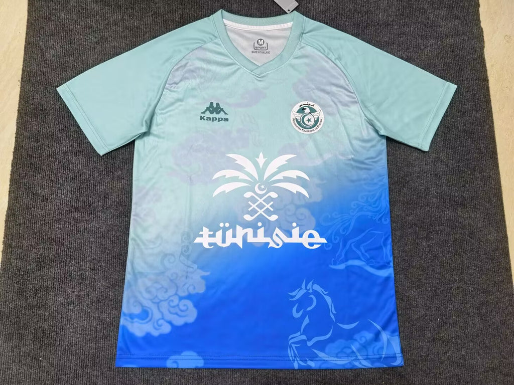24-25 Tunisie Concept (Fan Version)