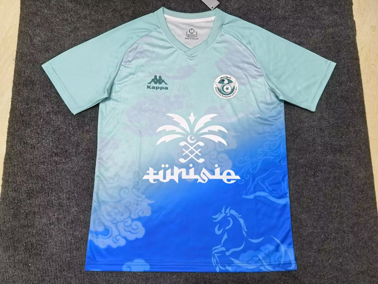 24-25 Tunisie Concept (Fan Version)