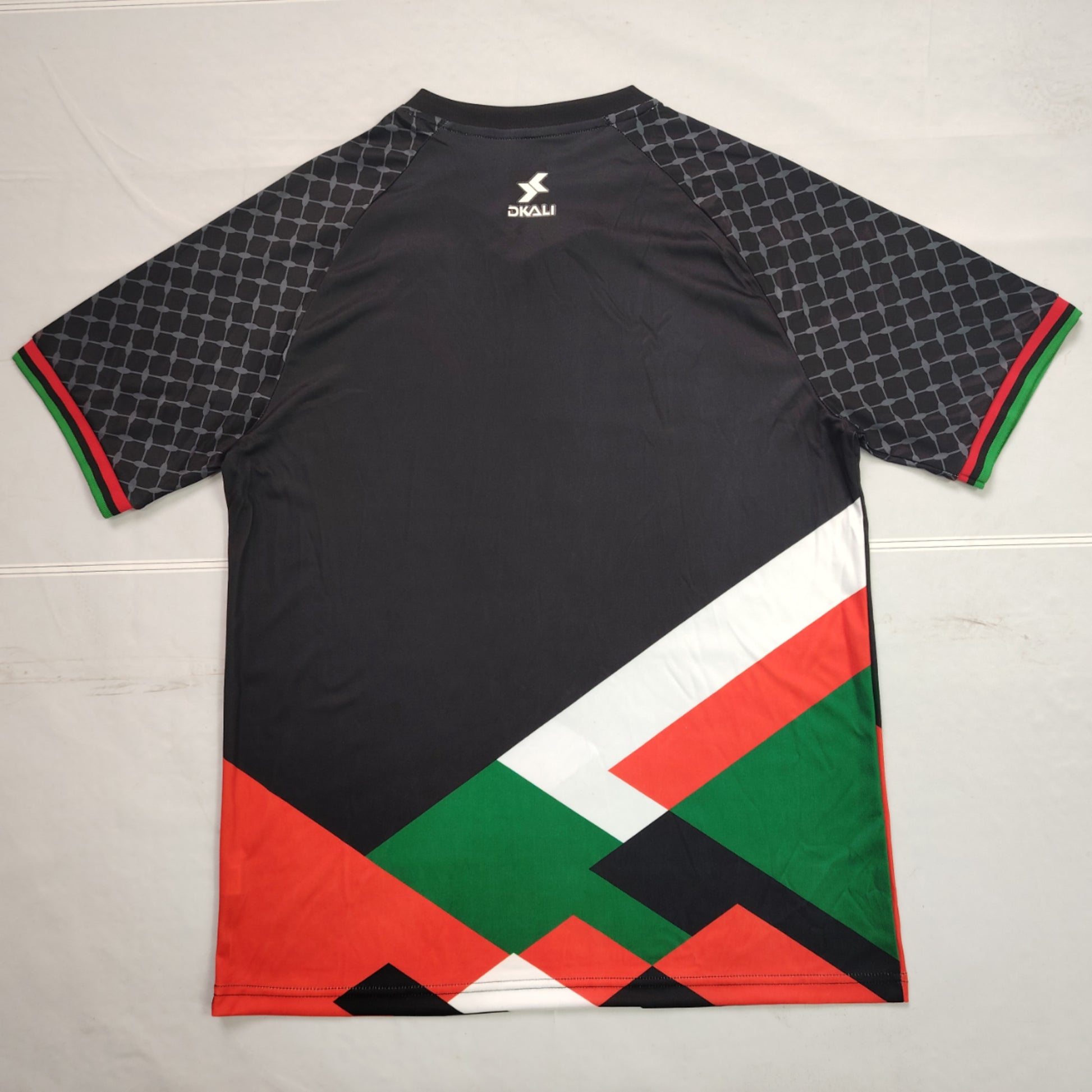 24-25 Palestine Spécial (Fan Version)