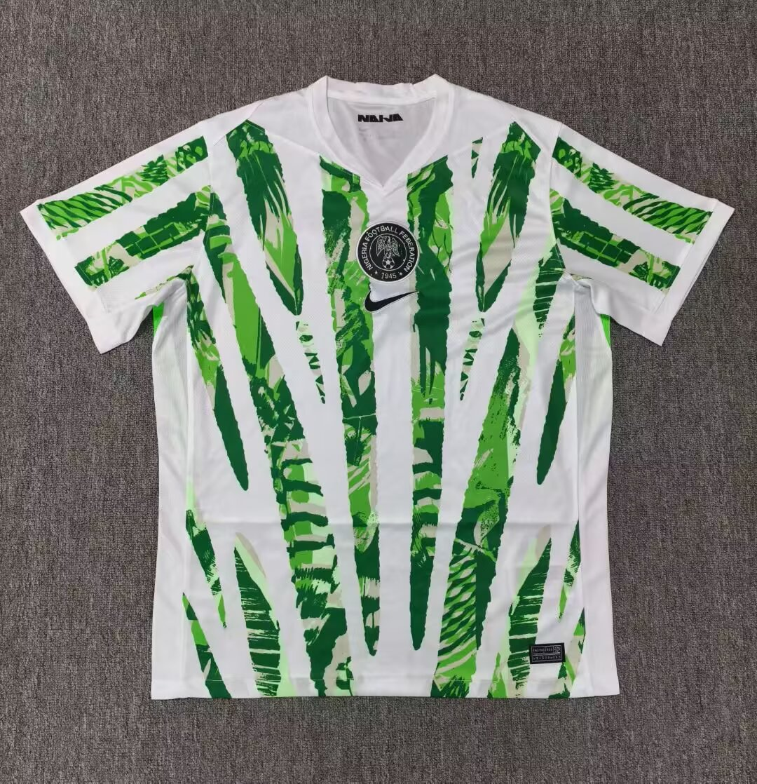24-25 Nigeria Domicile (Fan Version)