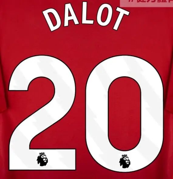 24-25 Manchester United Extérieur [Player Version]