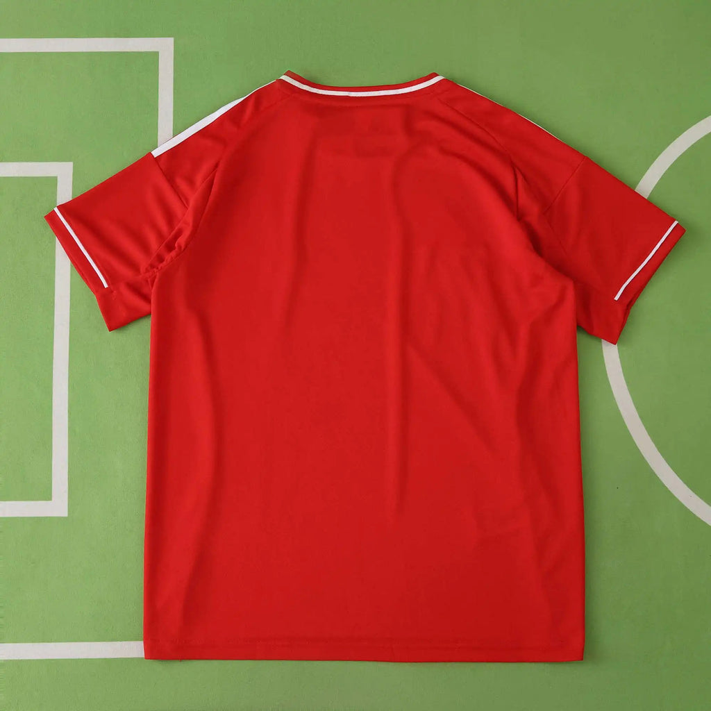 25-26 Liverpool Domicile (Fan Edition)