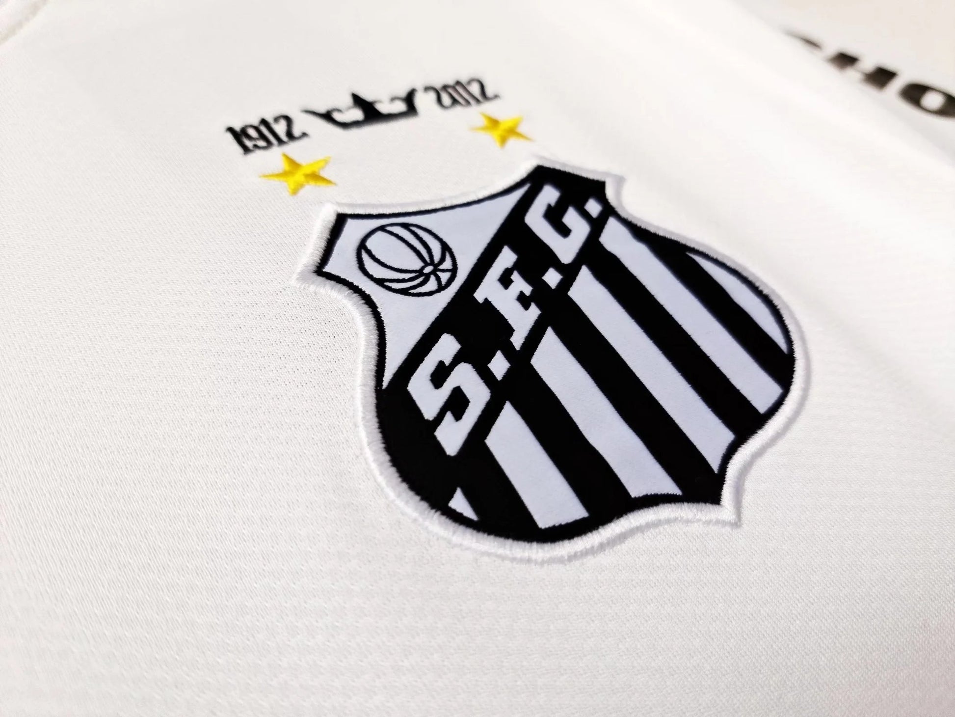 2013 Santos Domicile (Fan Version)