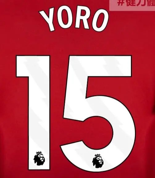 24-25 Manchester United Extérieur [Player Version]