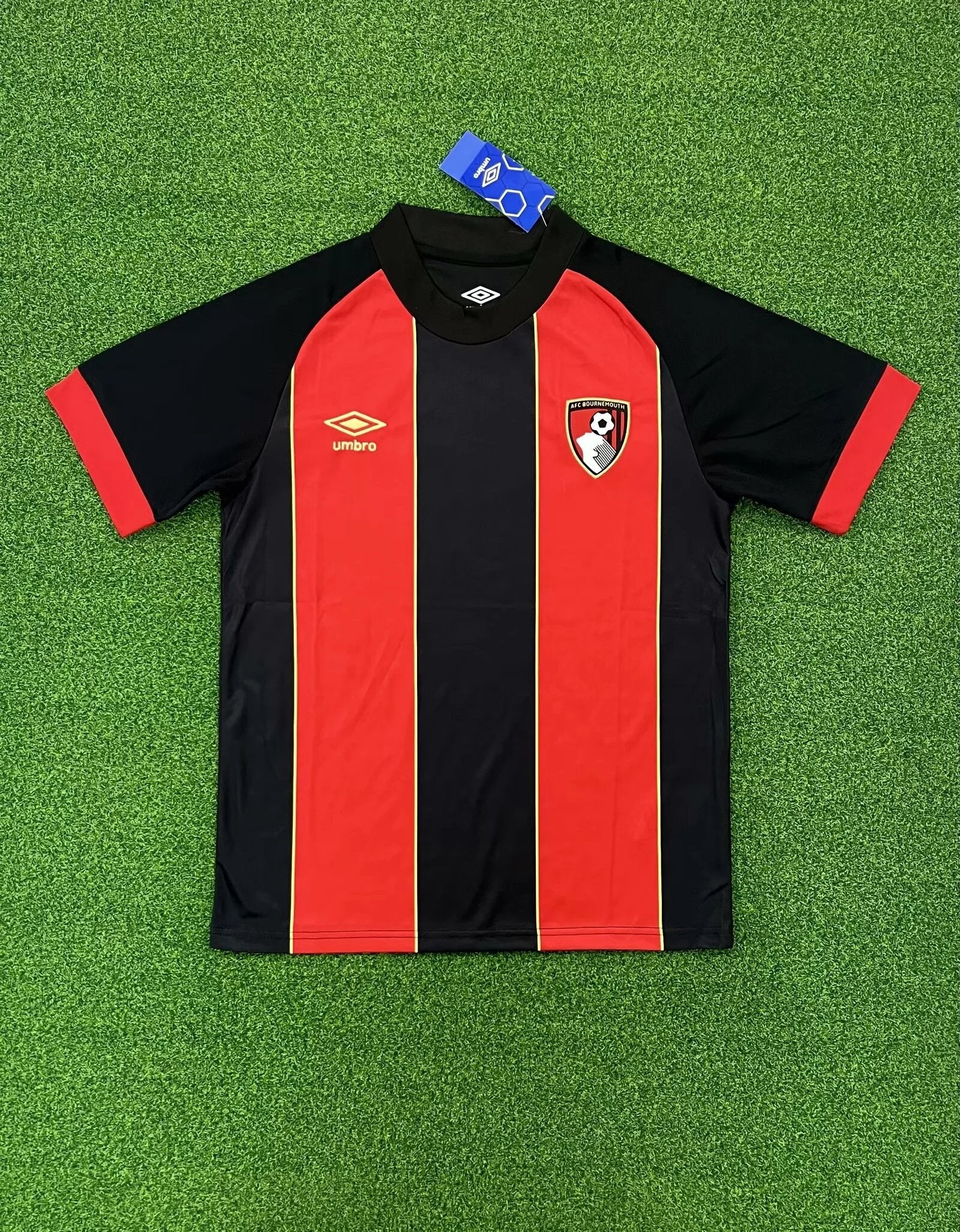 24-25 Bournemouth Domicile (Fan Version)
