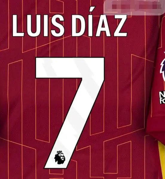 24-25 Liverpool Domicile [Player Version]