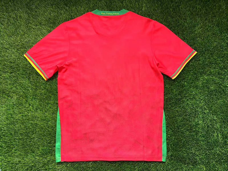 25-26 Cameroun Extérieur (fan version)